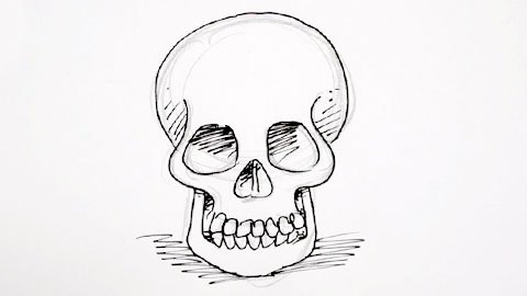 Skeleton Face Drawing Easy at PaintingValley.com | Explore collection ...
