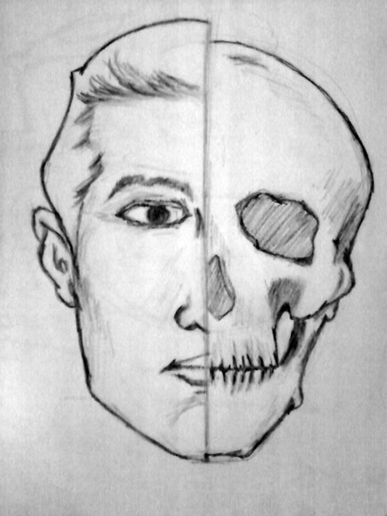 Half Skull Half Face Drawing Easy