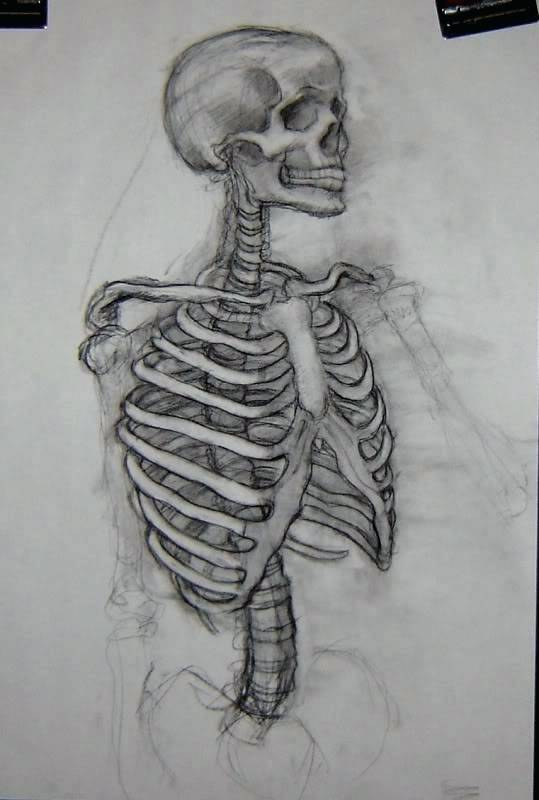 Skeleton Face Drawing Easy at PaintingValley.com | Explore collection ...