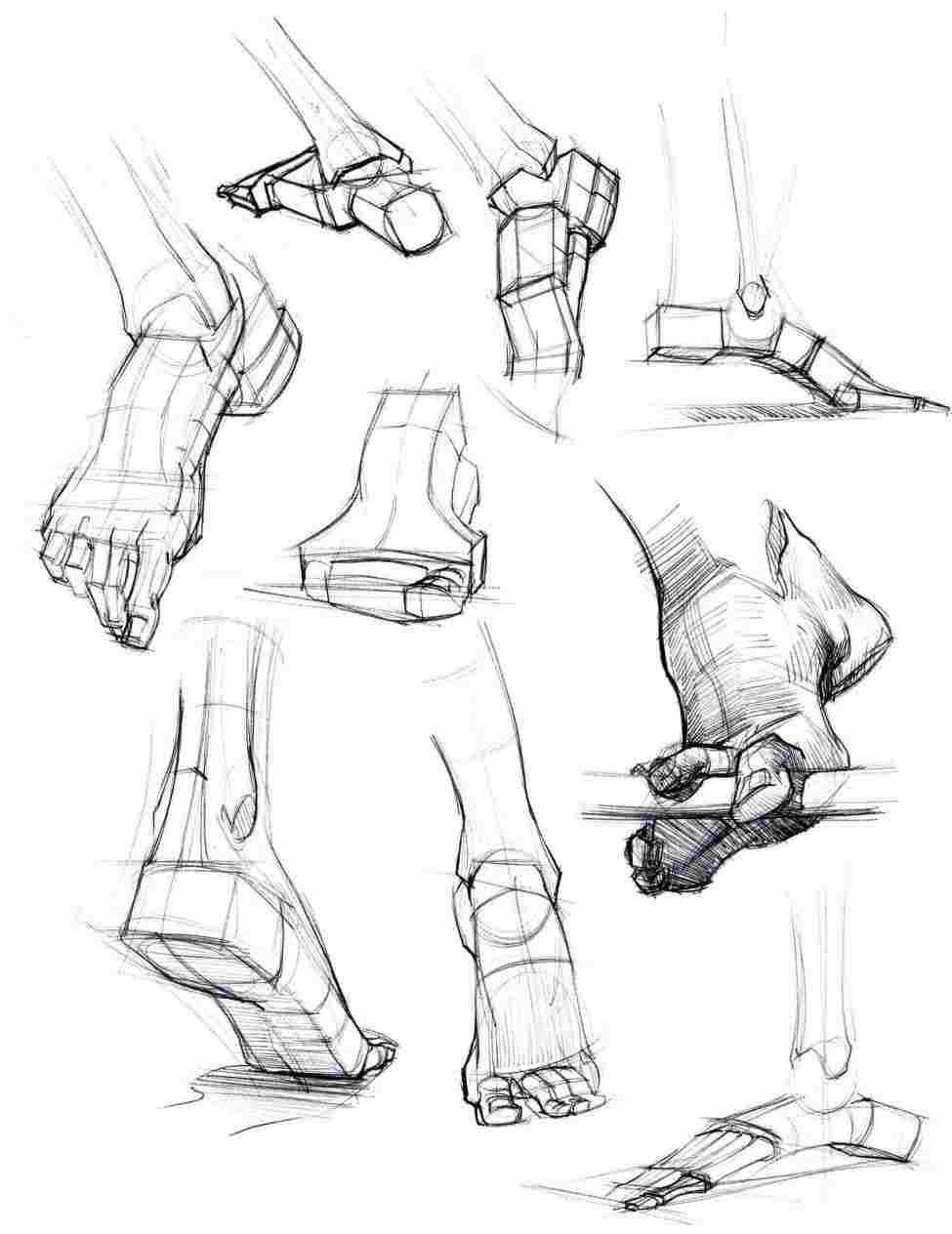 975x1264 high quality free rhclipartxtrascom collection how to draw - Skeleton Feet Drawing