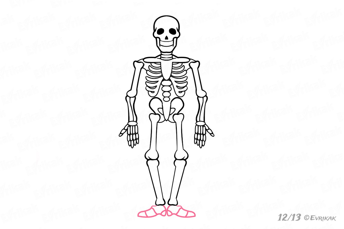 Skeleton Feet Drawing at Explore collection of