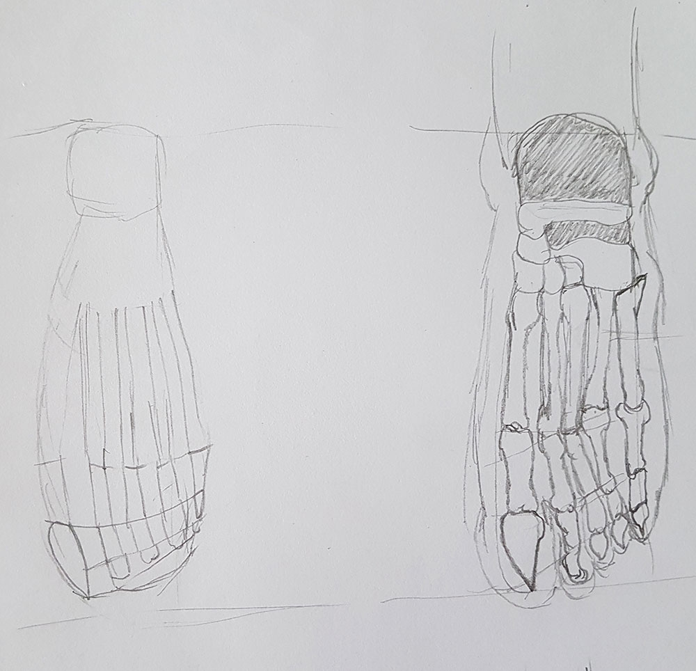 1000x964 learning to draw feet my drawing journey - Skeleton Feet Drawing