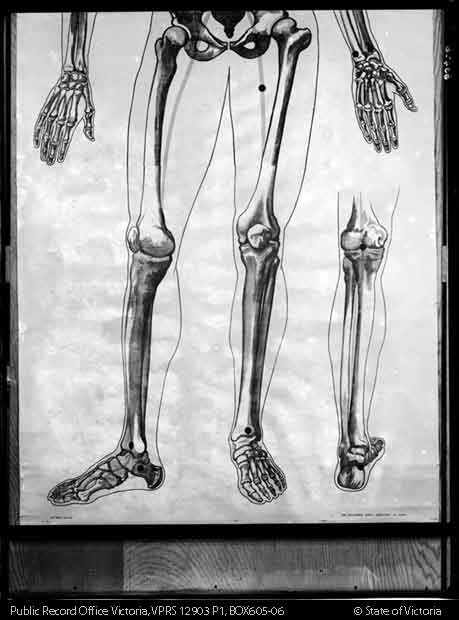 Skeleton Feet Drawing