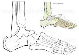 267x189 how to draw skeleton feet - Skeleton Feet Drawing