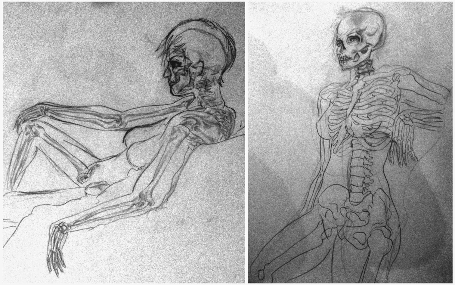 skeleton figure drawing