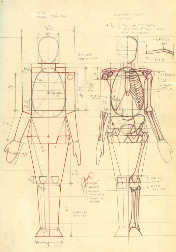 717x1024 Learn The Best Figure Drawing Methods Of The Masters - Skeleton Figure Drawing