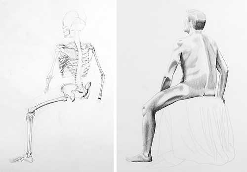 500x348 Male Figure Drawing Mirto Art Studio - Skeleton Figure Drawing