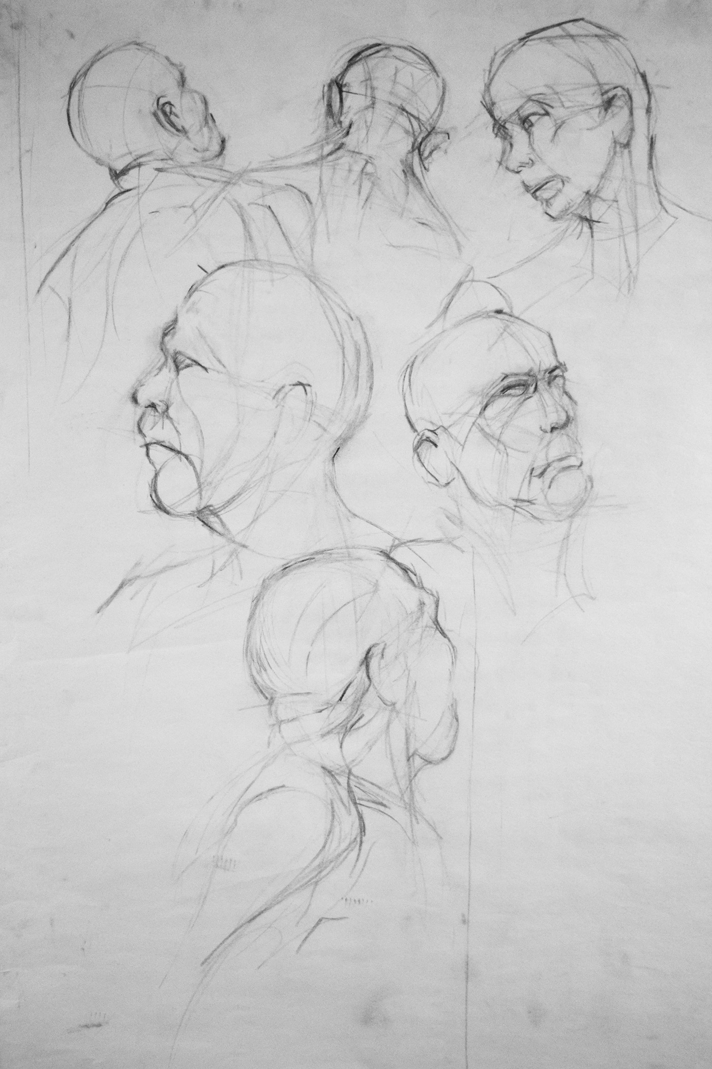 1400x2100 skeletal figure studies - Skeleton Figure Drawing