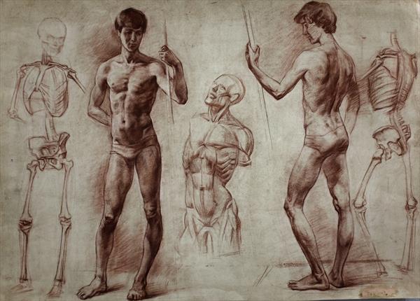 600x430 Study Of Man's Figure With Rotation, Skeleton And Ekorsi - Skeleton Figure Drawing