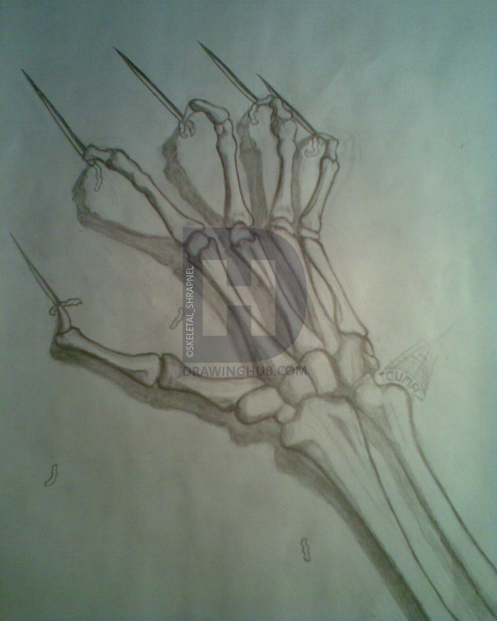 1024x1280 Skeleton Hand Drawing - Skeleton Hand Drawing