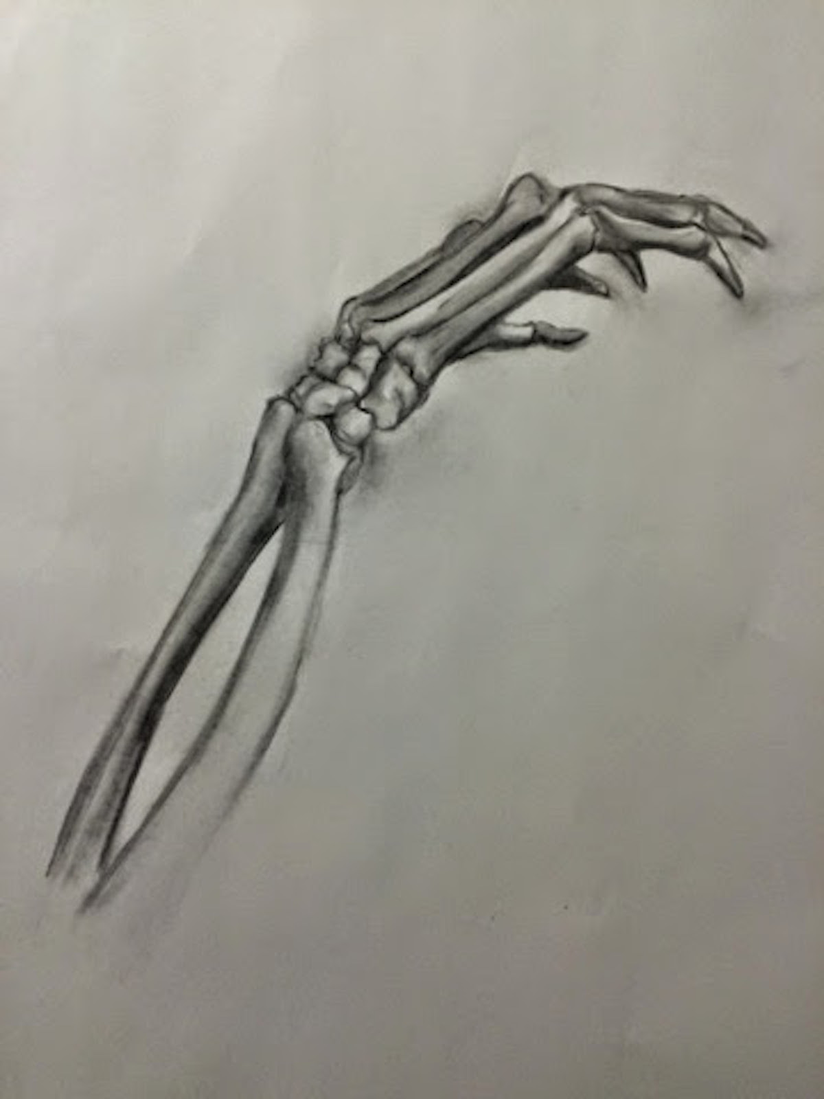 Skeleton Hand Drawing at Explore collection of