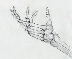 236x192 skeleton hand drawing drawing skeleton drawings, drawings - Skeleton Hand Drawing