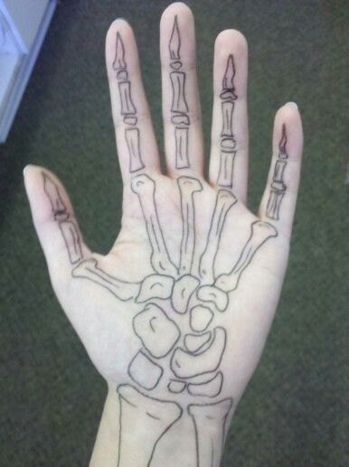 386x517 In Body Art Tattoos, Sharpie - Skeleton Hand Drawing On Hand