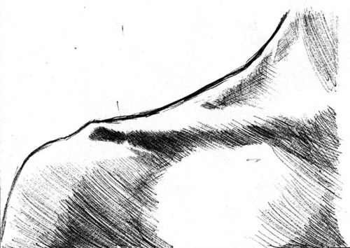 500x354 Drawn Bones Hand Tumblr - Skeleton Hand Drawing Tumblr