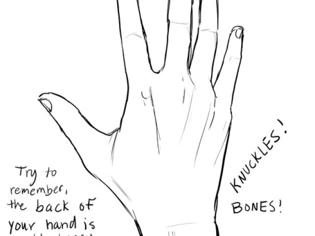 640x480 Drawn Bones Hand Tumblr - Skeleton Hand Drawing Tumblr