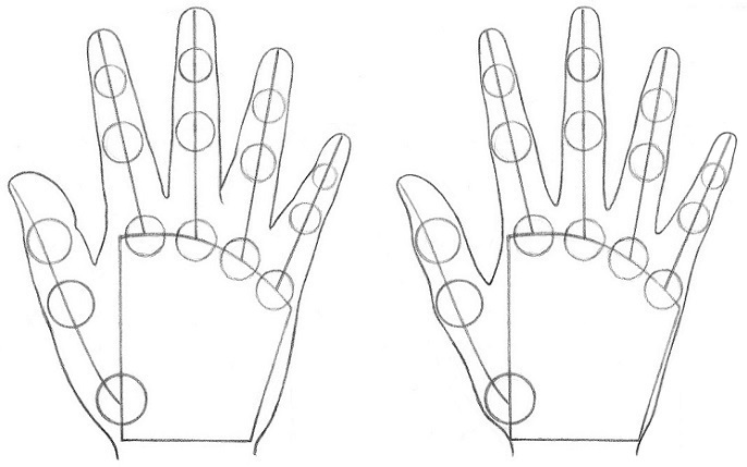 686x429 how to draw hands part construction rapidfireart - Skeleton Hand Drawing Tutorial