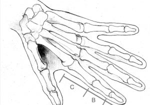 300x210 To Draw Holding Hands With Easy Step - Skeleton Hand Drawing Tutorial