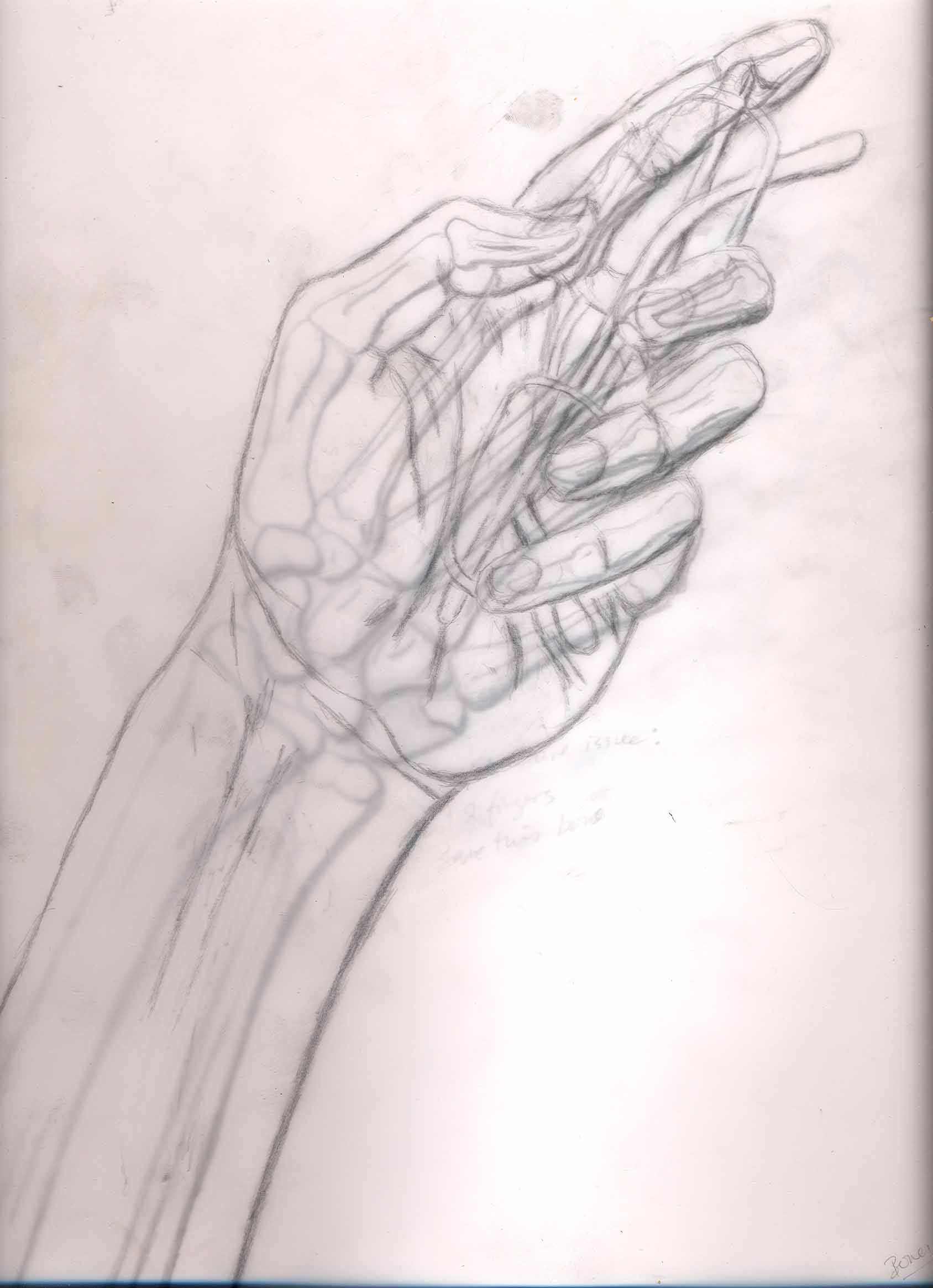 1688x2329 Images Of Drawings Of Hands Holding A Rose - Skeleton Hand Holding Rose Drawing