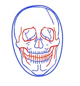 281x302 How To Draw A Skeleton Head Steps - Skeleton Head Drawing