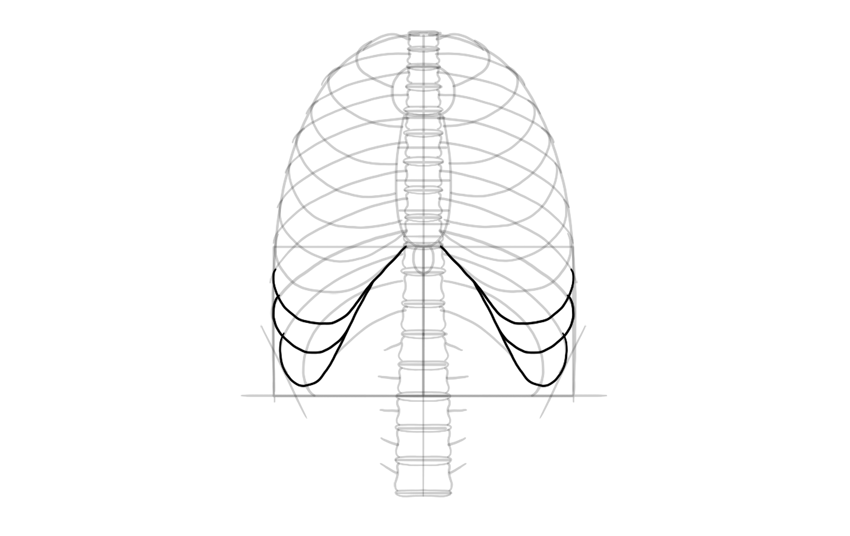 850x536 How To Draw A Skeleton Step - Skeleton Line Drawing