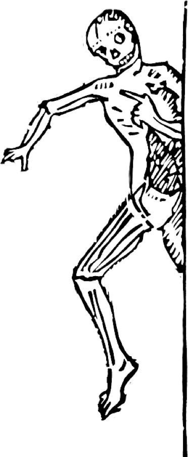 372x902 letterink draw letteris with skeletons - Skeleton Line Drawing