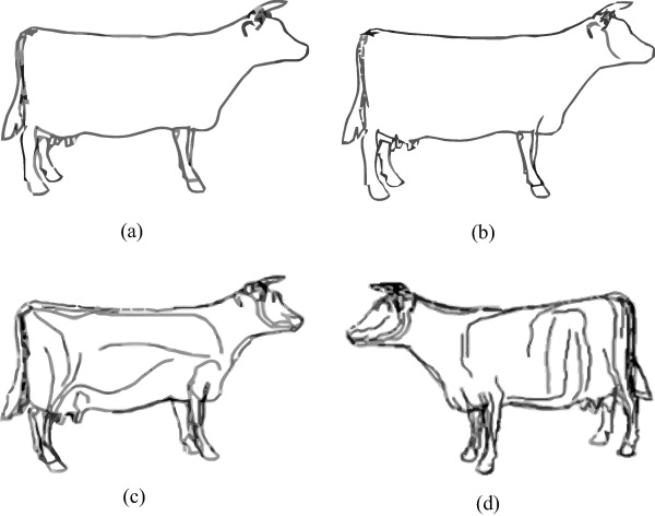 600x472 skeleton enhanced line drawings for models - Skeleton Line Drawing