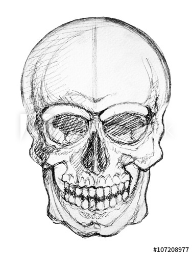 376x500 Human Skull Skeleton Hand Line Drawing, Abstract Art, Halloween - Skeleton Line Drawing