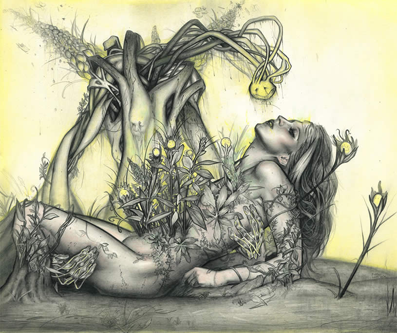 815x683 Hands - Skeleton Lying Down Drawing