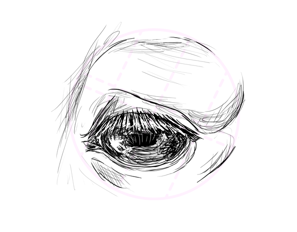 600x468 How To Draw Animals Horses, Their Anatomy And Poses - Skeleton Lying Down Drawing