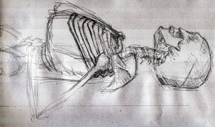 424x250 skeleton lying down - Skeleton Lying Down Drawing