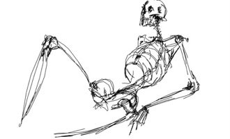 330x200  - Skeleton Lying Down Drawing