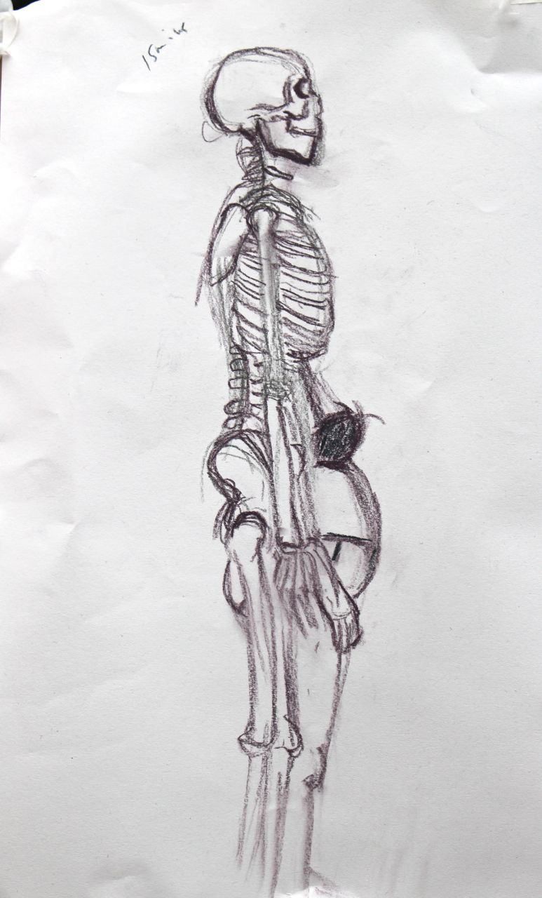 773x1280 Life Drawing Janet E Davis Art - Skeleton Lying Down Drawing