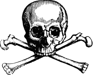 300x244 Drawing Pirates Pirate Skeleton Transparent Png Clipart Free - Skeleton Pirate Drawing