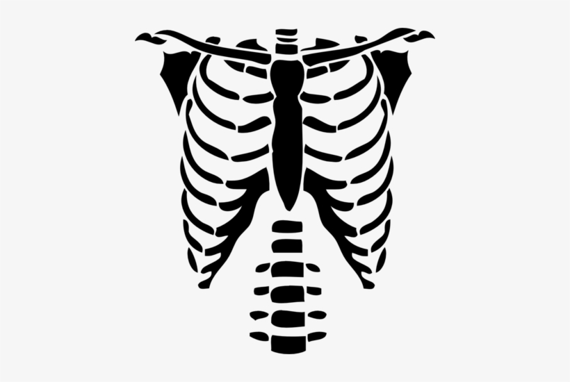 820x550 Skeleton Ribs Drawing At Getdrawings - Skeleton Ribs Drawing