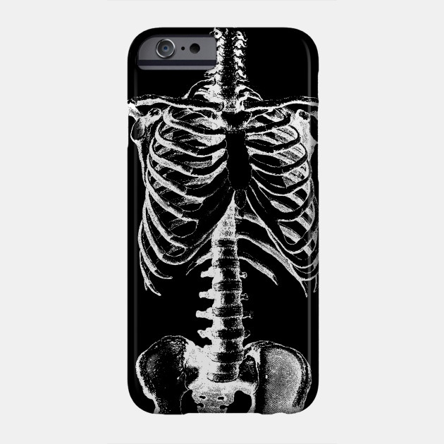 630x630 Skeleton Drawing Of Ribs Torso And Pelvis - Skeleton Ribs Drawing