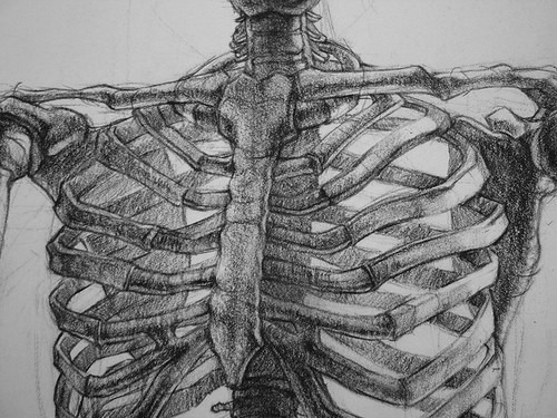 500x375 Drawing Black And White Dead Human Corpse Skeleton Bones Ribs - Skeleton Ribs Drawing