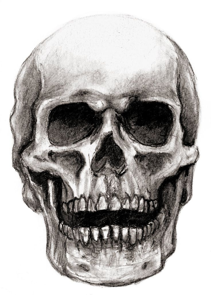 Skeleton Skull Drawing