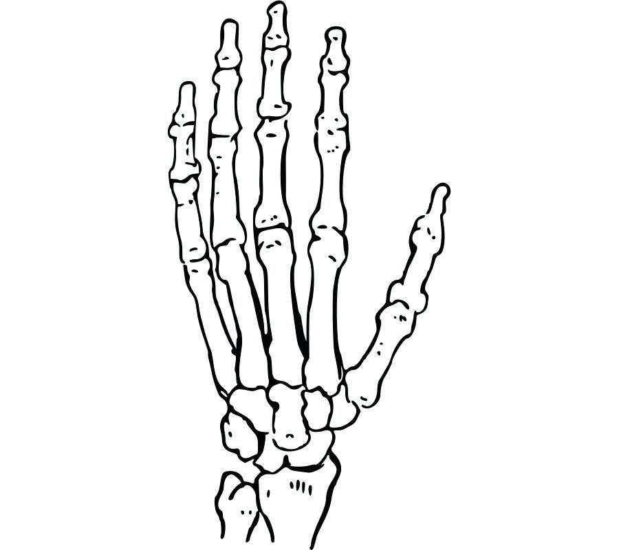 900x800 Drawing Skeleton - Skeleton Skull Drawing