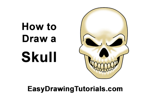 500x315 How To Draw A Skull For Halloween - Skeleton Skull Drawing
