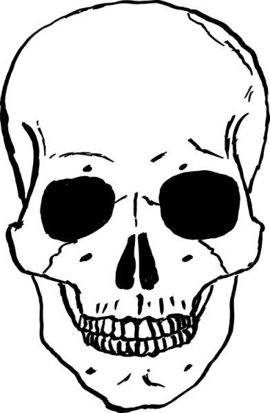 392x600 skeletons drawing cartoon transparent png clipart free download - Skeleton Skull Drawing