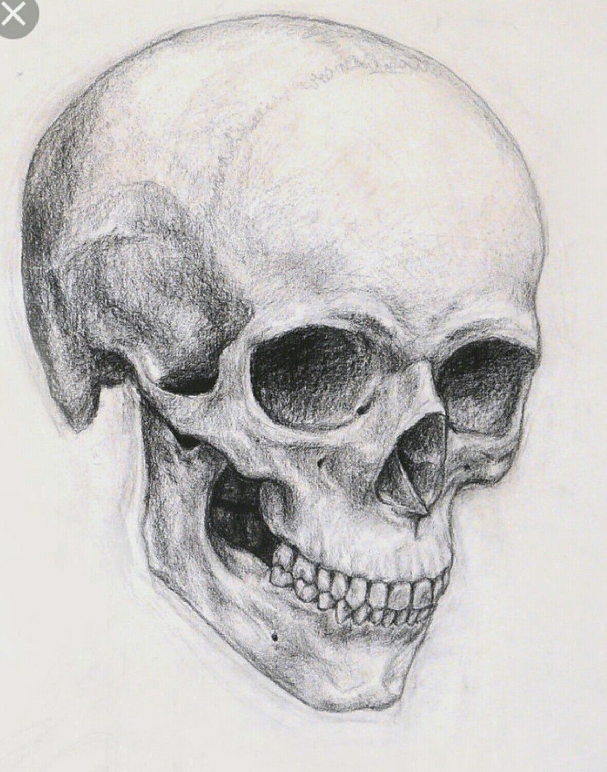 1181x1500 skull angles ink - Skeleton Skull Drawing