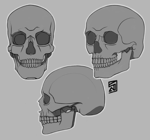 500x466 Skull Drawing Tumblr - Skeleton Skull Drawing