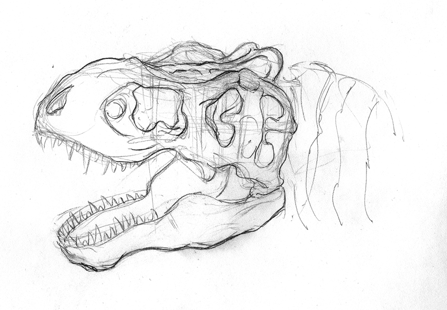 916x635 art in a busy world drawing dinosaurs - Skeleton Skull Drawing