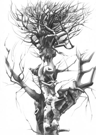 375x527 Old Tree, Sketch From Nature Drawing - Sketch Nature Drawing