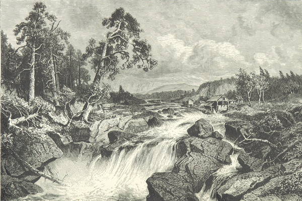 600x399 Nature Drawings, Art Ideas Free Premium Templates - Sketch Nature Drawing