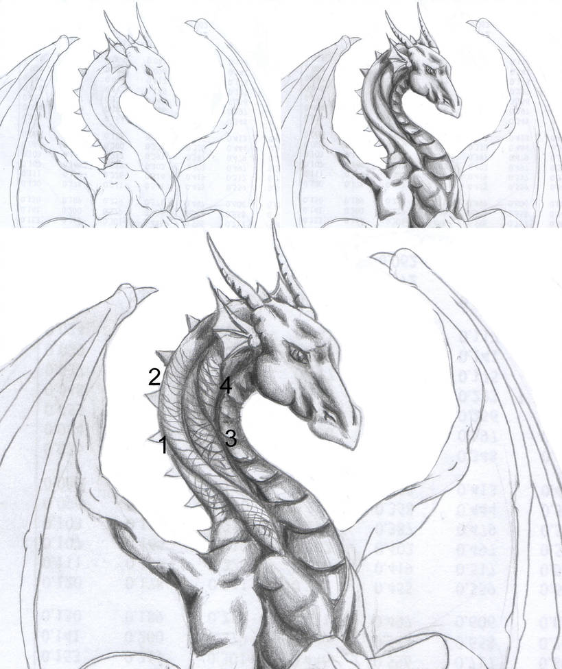 819x976 dragon skin texture drawing - Skin Texture Drawing