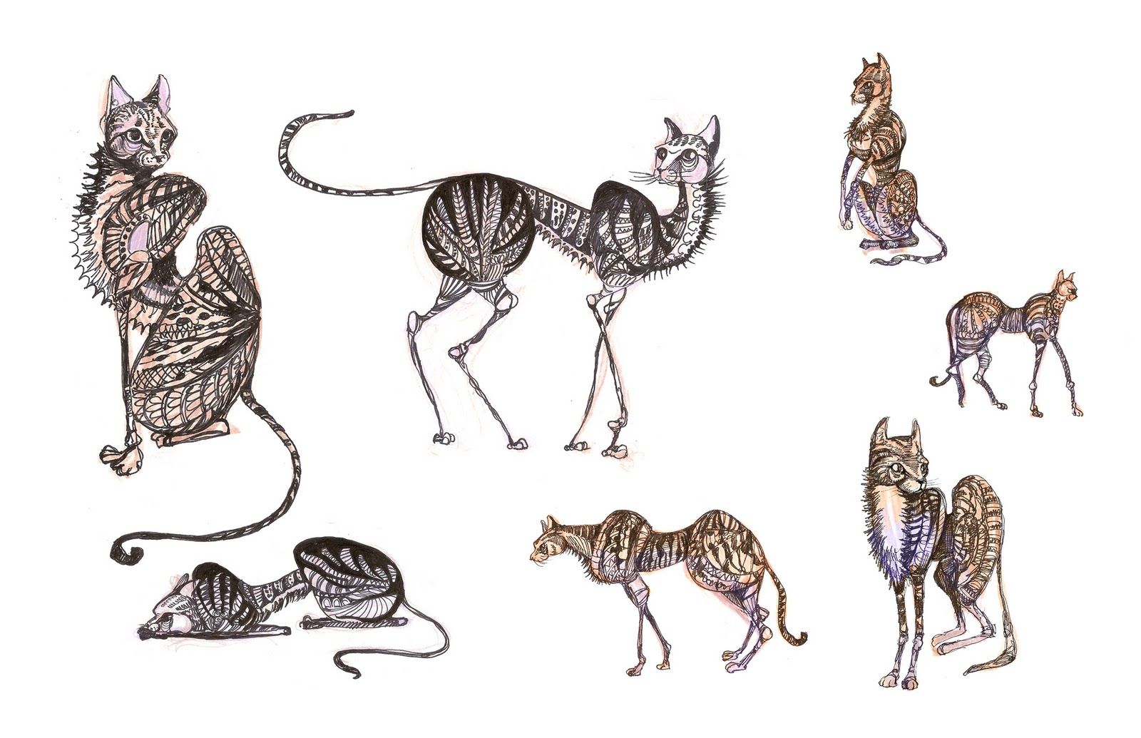 1600x1035 kira formina cute skinny kate moss cat character cat art - Skinny Cat Drawing