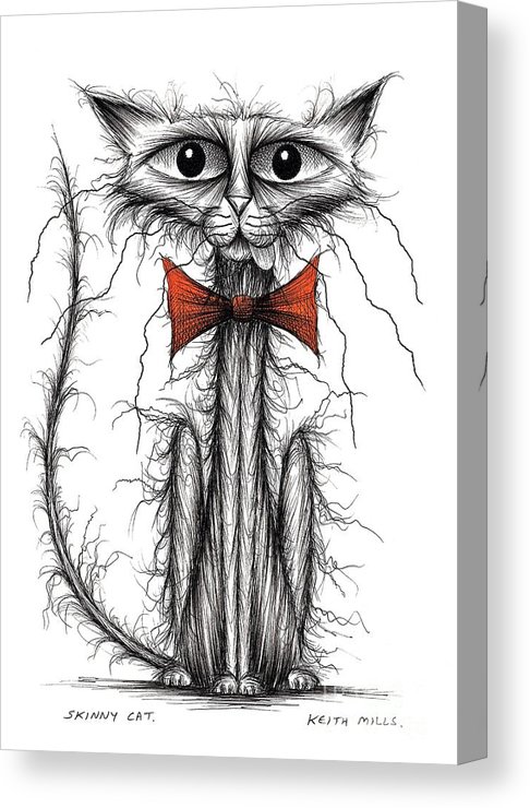 486x740 skinny cat canvas print canvas art - Skinny Cat Drawing