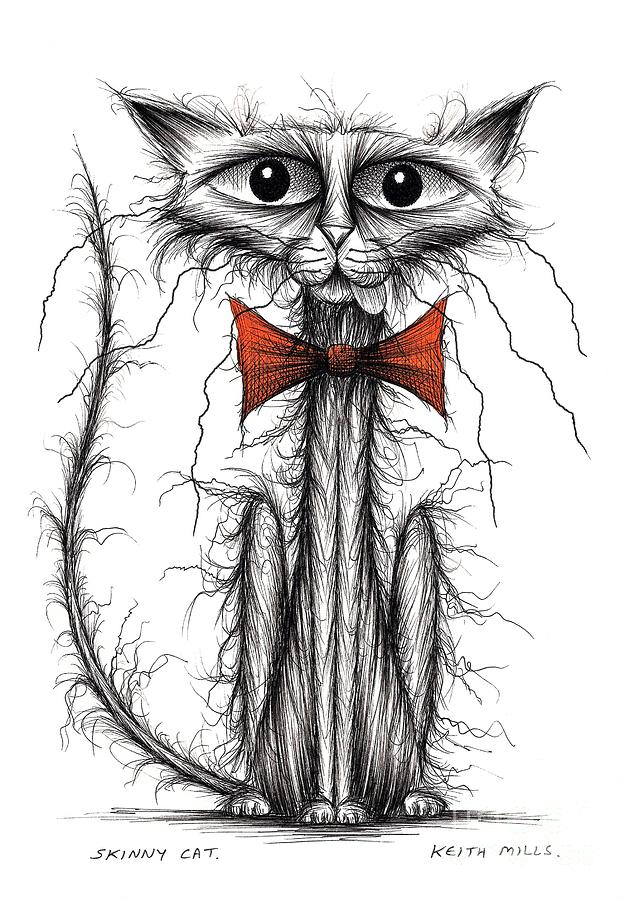 634x900 skinny cat drawing - Skinny Cat Drawing