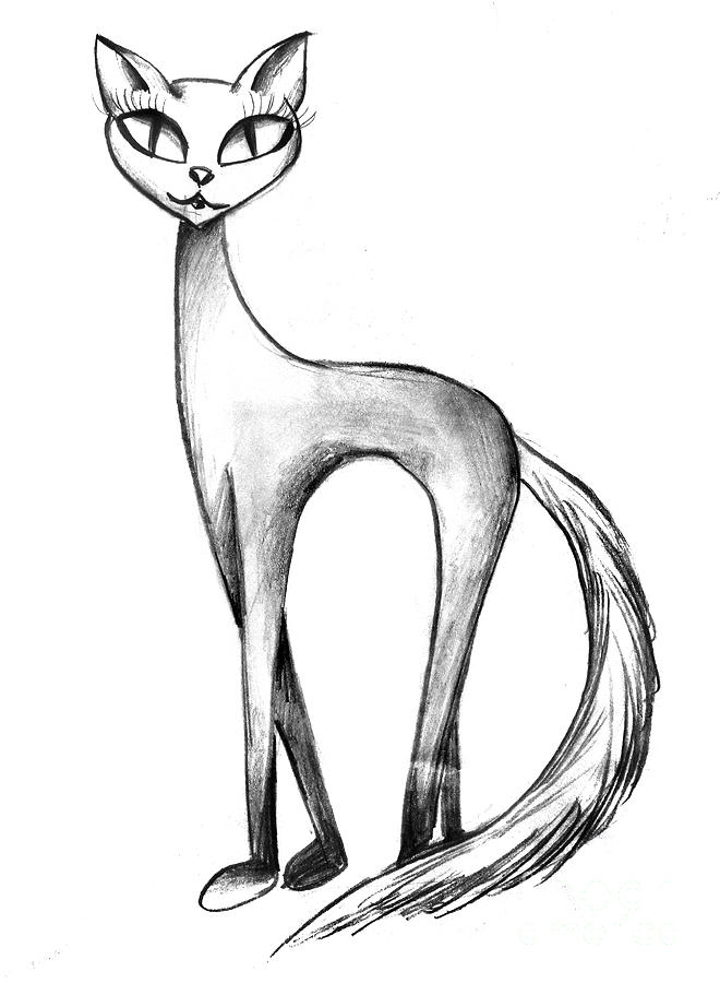 660x900 skinny cat with big eyes drawing - Skinny Cat Drawing